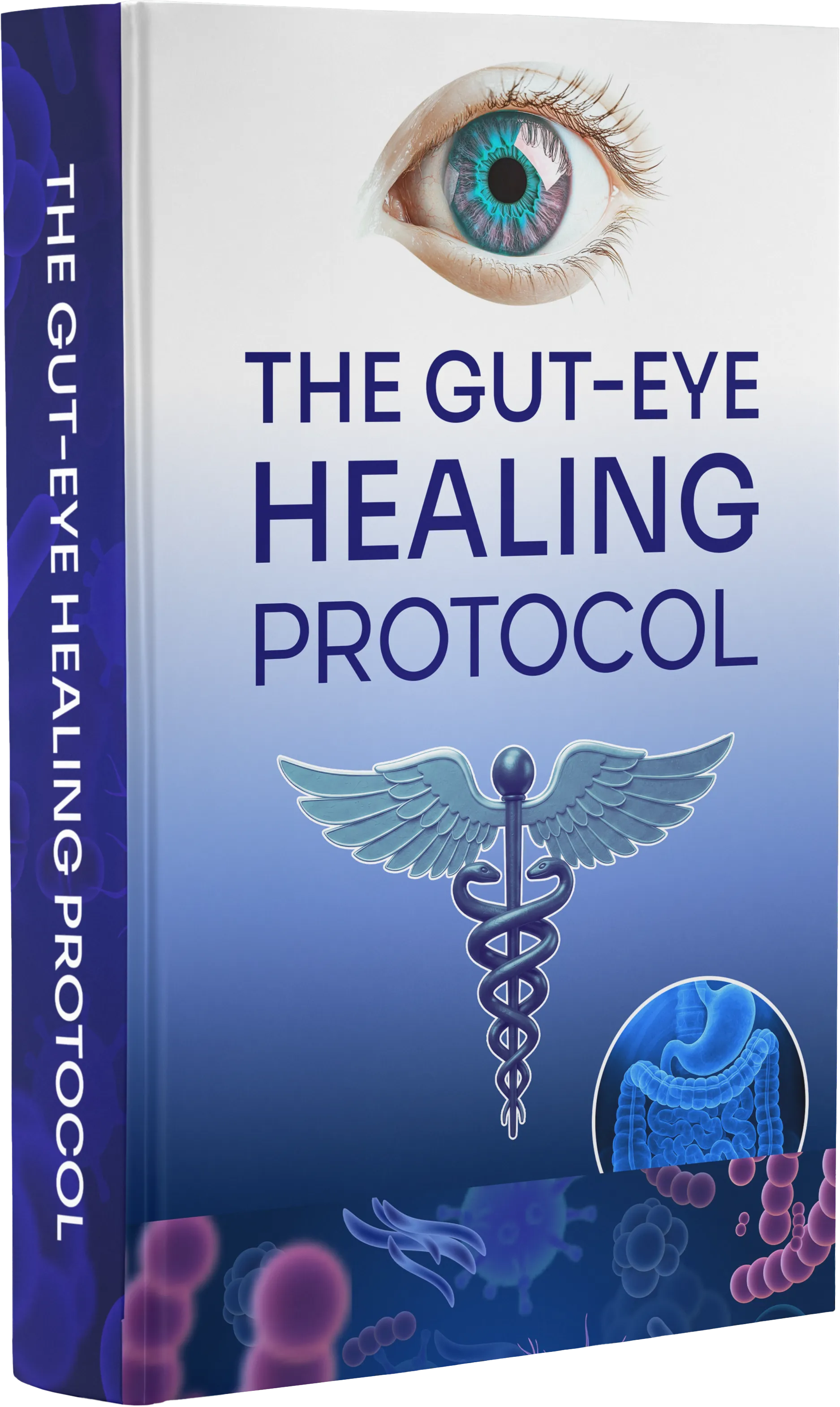 Bonus — Gut-Eye Reset
